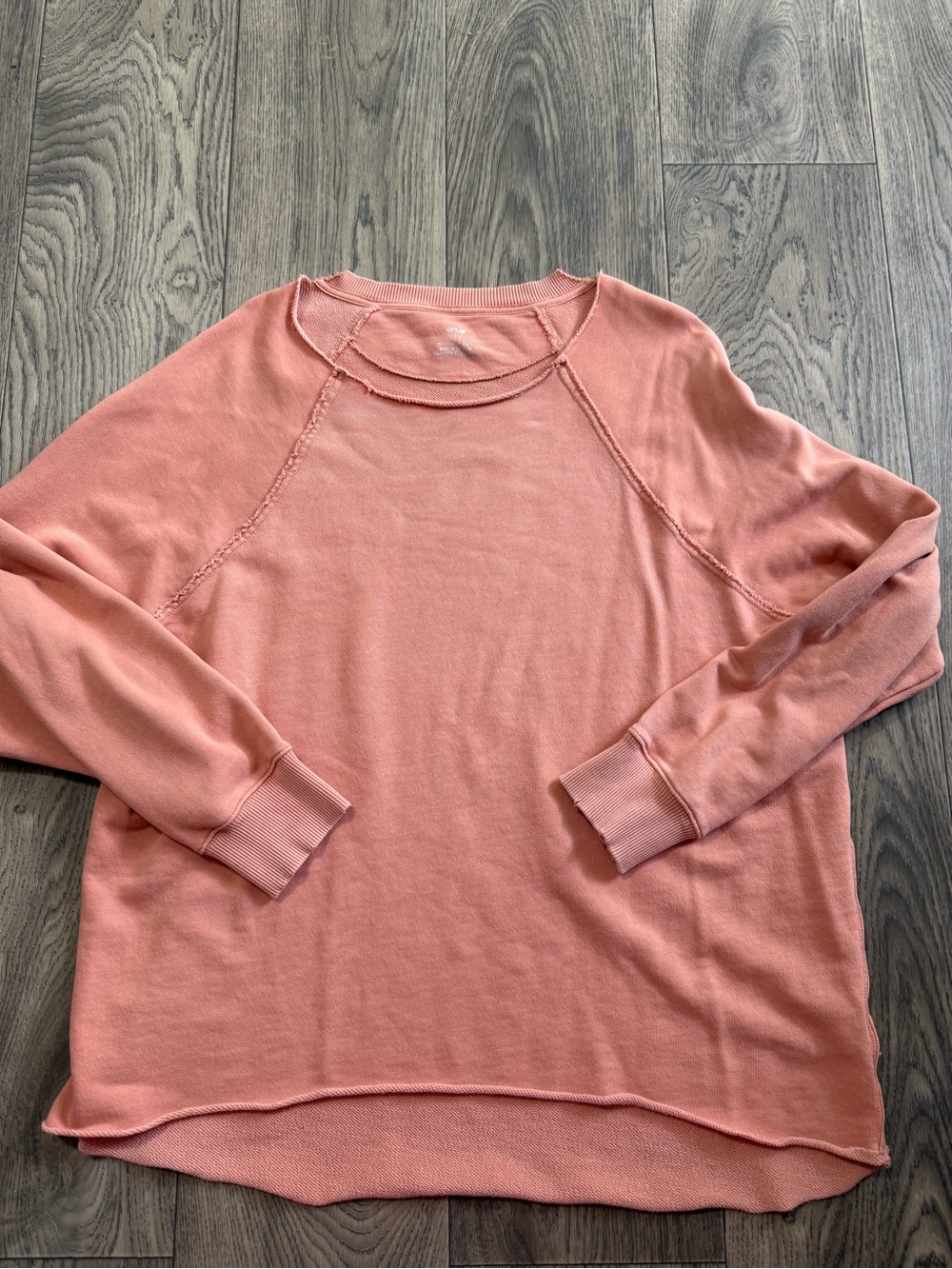 Aerie Sweatshirt